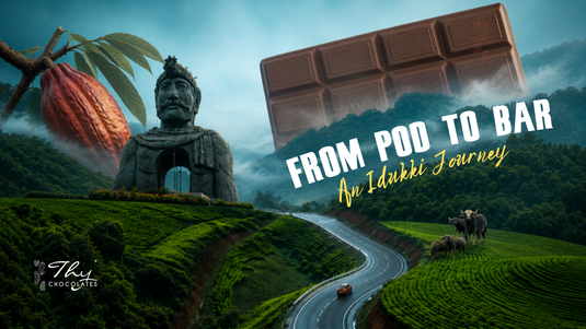 From Pod to Bar: An Idukki Journey